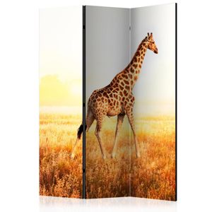 Paraván giraffe - walk Dekorhome 135x172 cm (3-dílný)