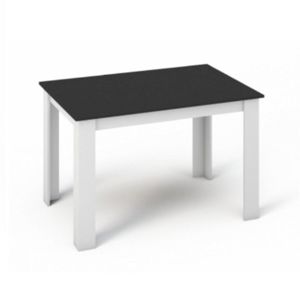Jídelní stůl 120x80 KRAZ bílá / černá Tempo Kondela