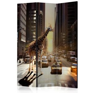 Paraván Giraffe in the Big City Dekorhome 135x172 cm (3-dílný)